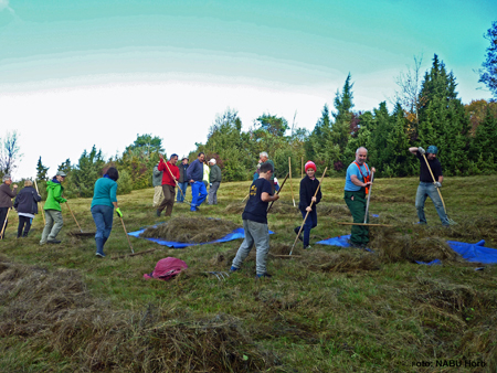 Landschaftspflege