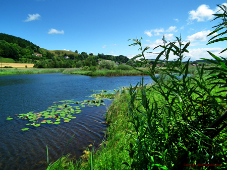 Heinz-Sielmann-Weiher